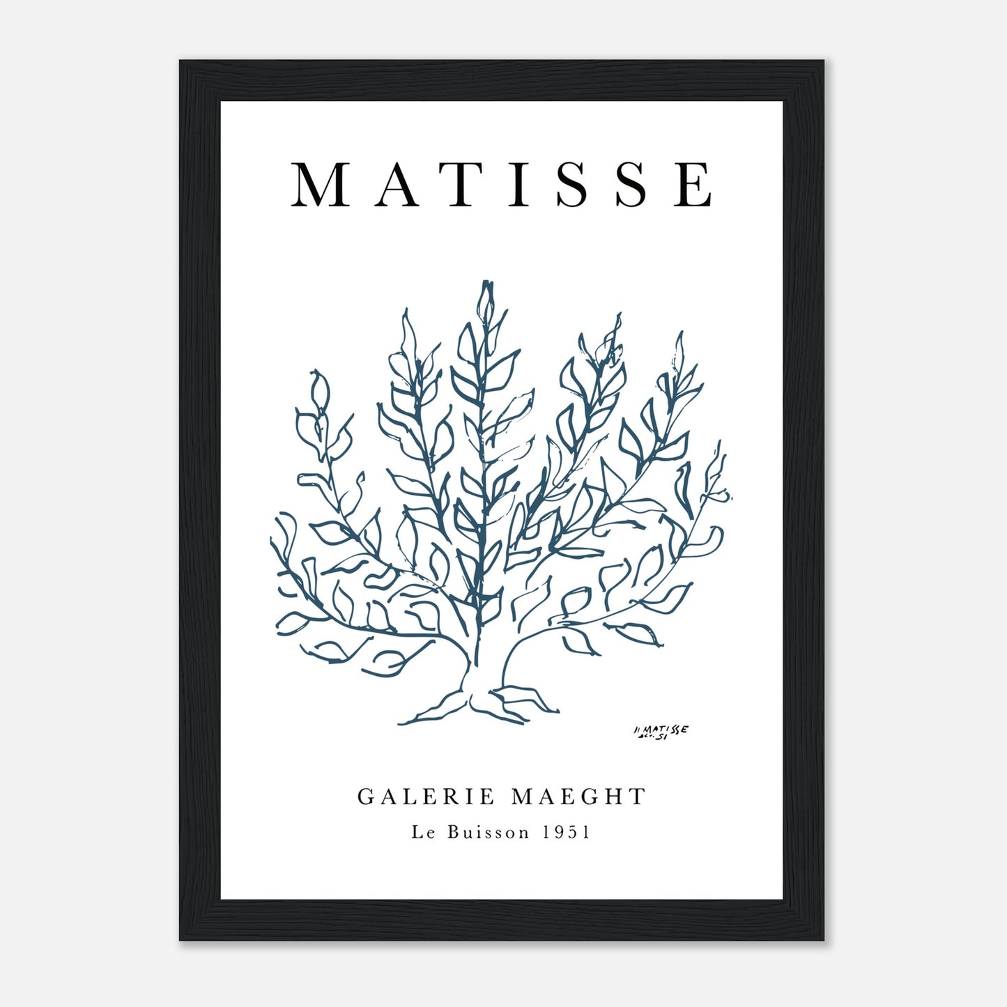 Henri Matisse Papiers Découpés Botanica Natura