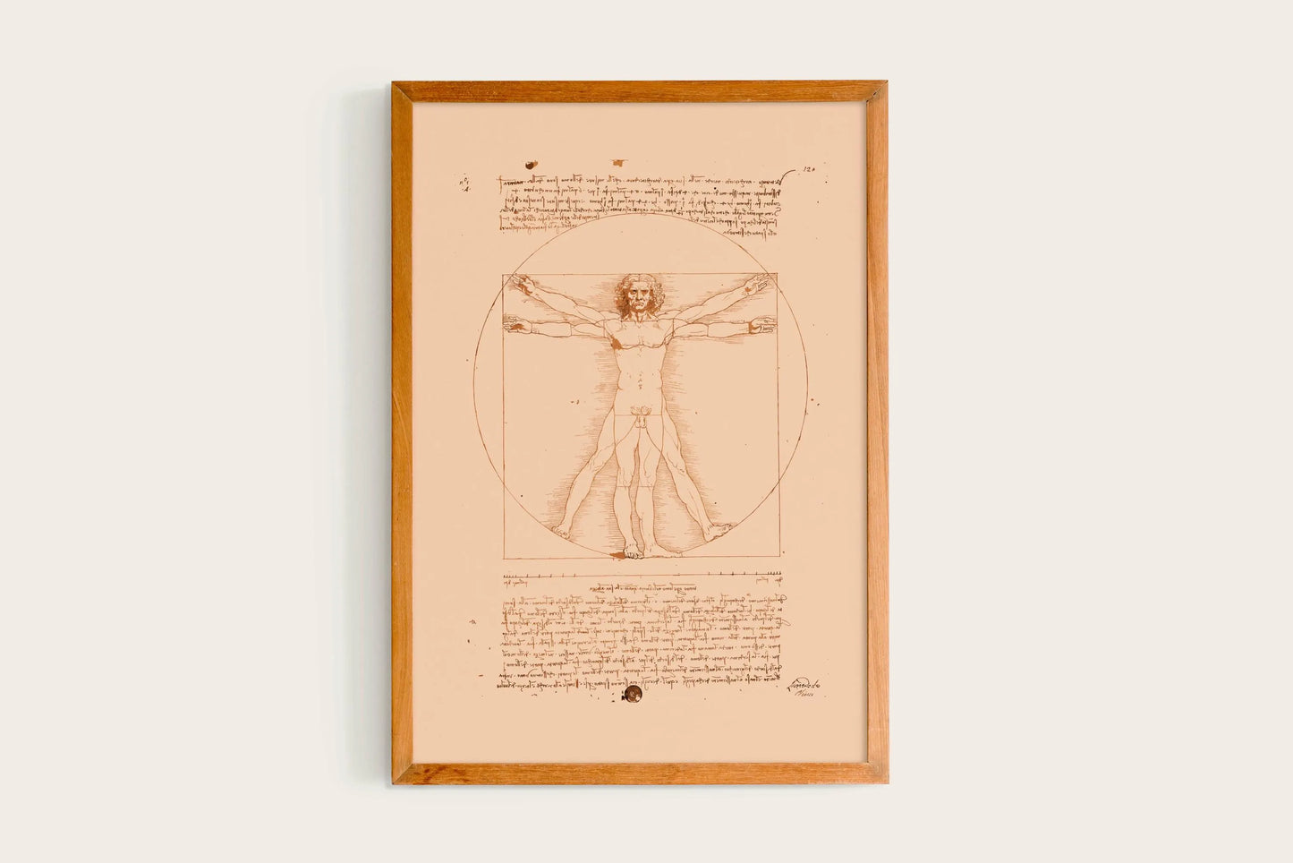 Leonardo da Vinci, Vitruvian Man (Vitruve Luc Viatour), 1492