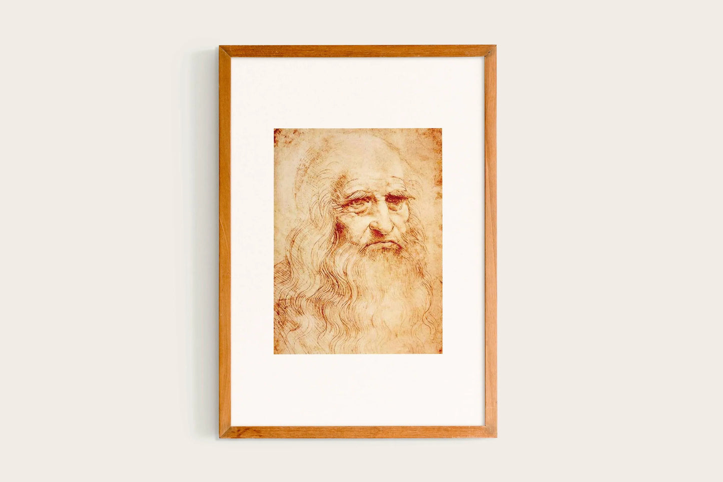 Leonardo da Vinci, Portrait of a Man in Red Chalk, 1510