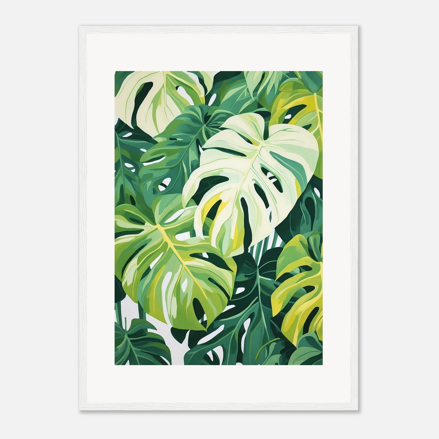 Monstera dream