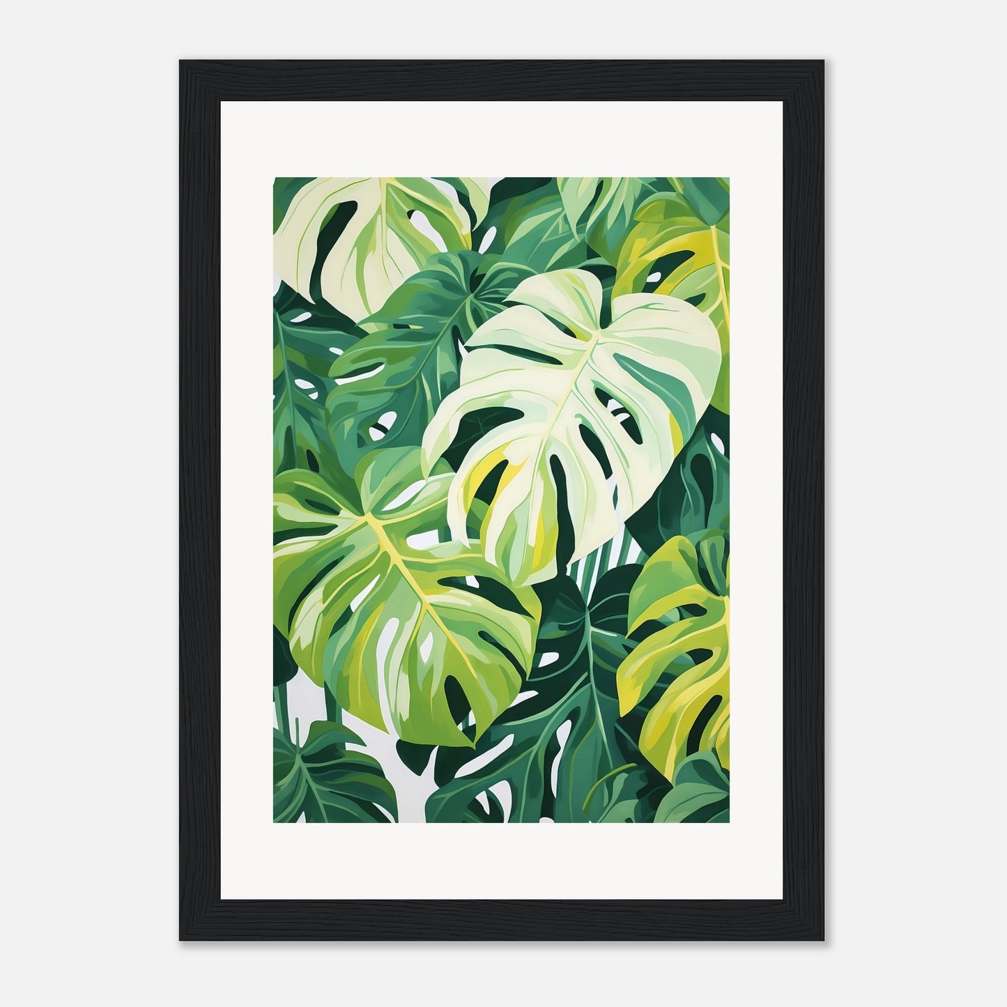 Monstera dream