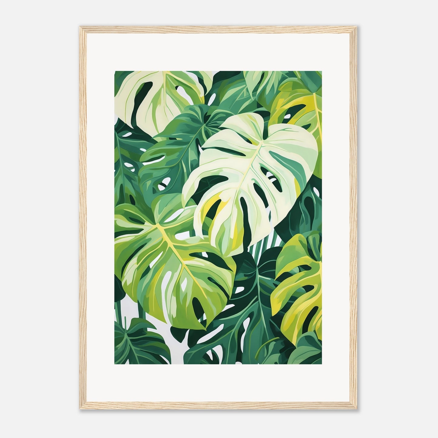 Monstera dream