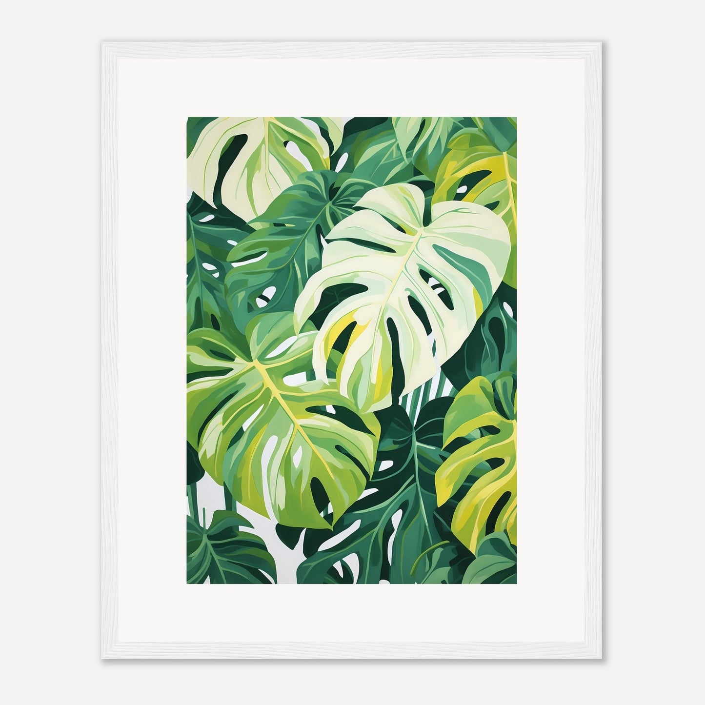 Monstera dream