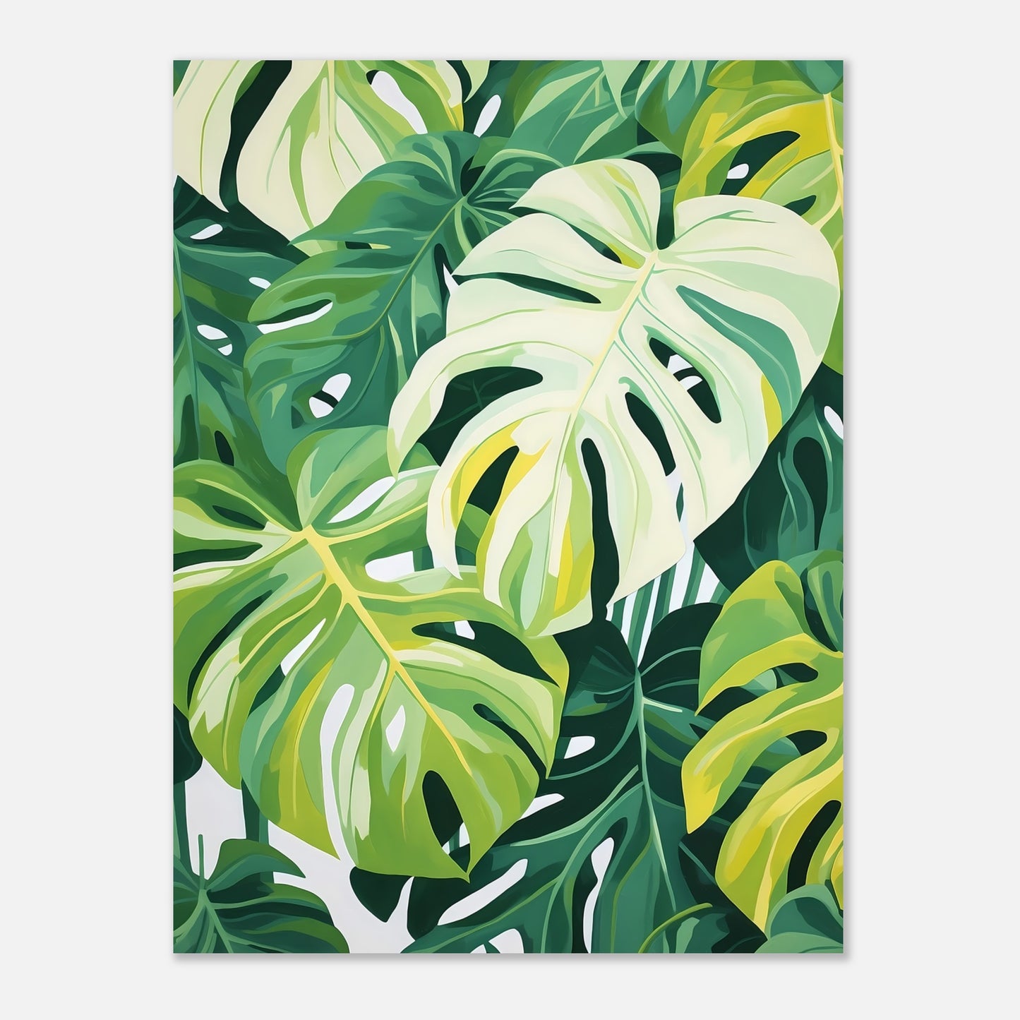 Monstera dream