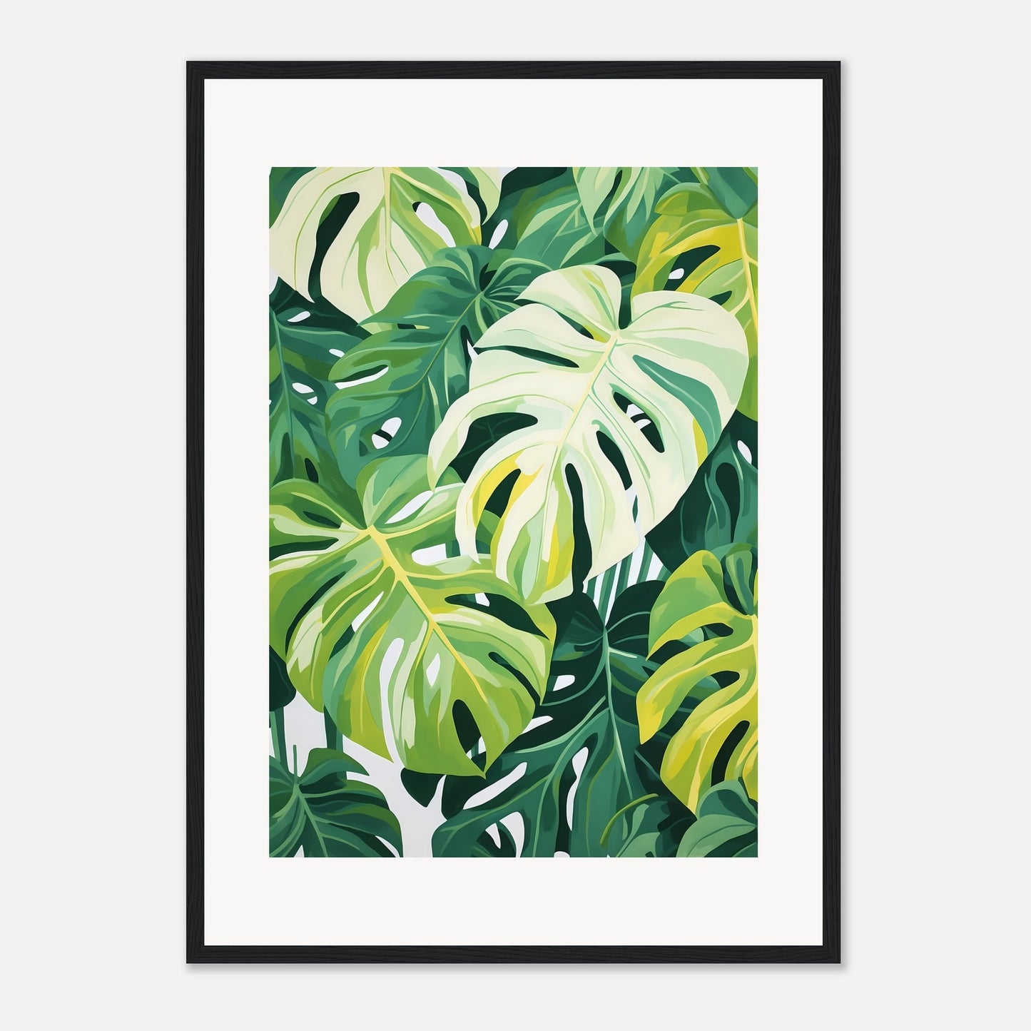 Monstera dream