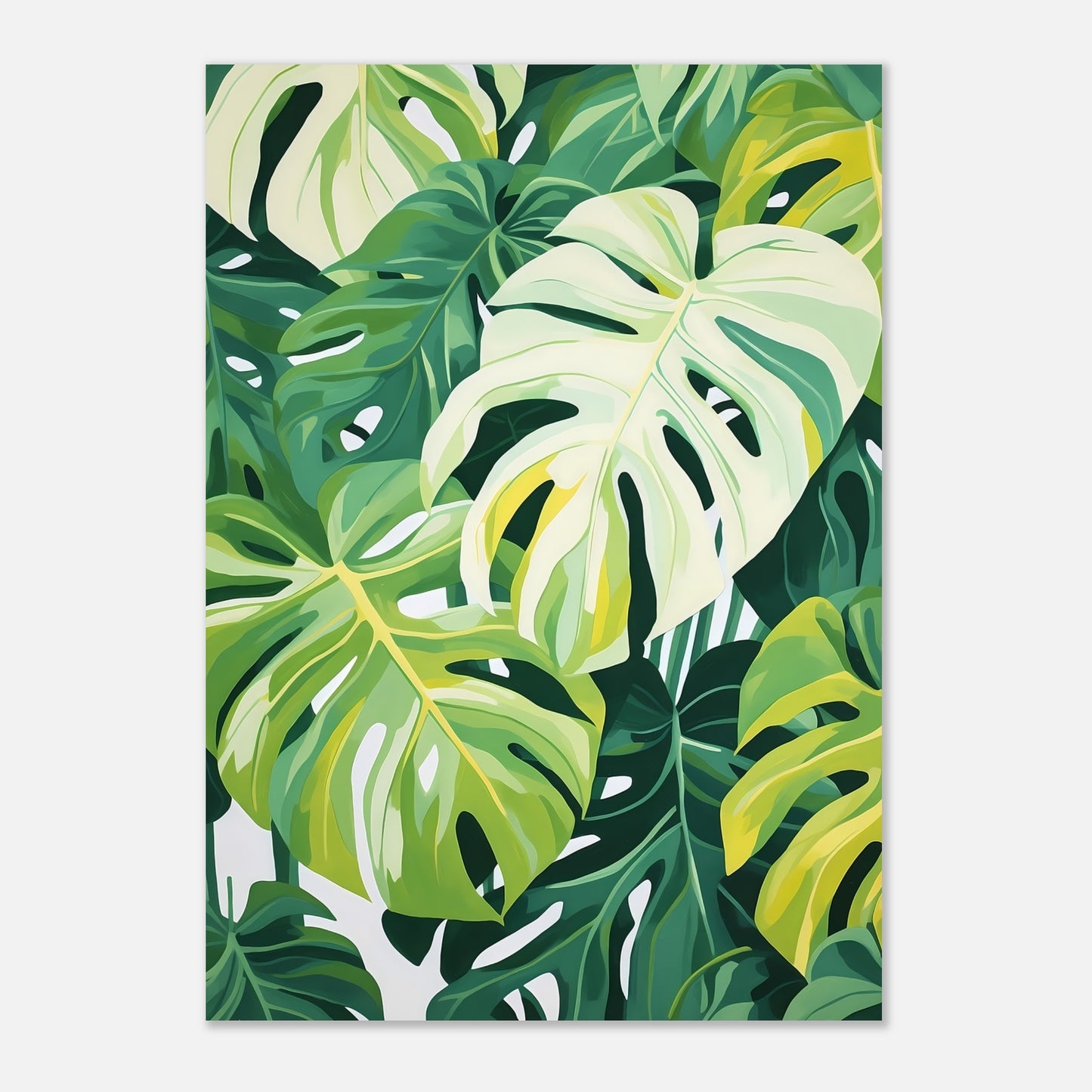 Monstera dream