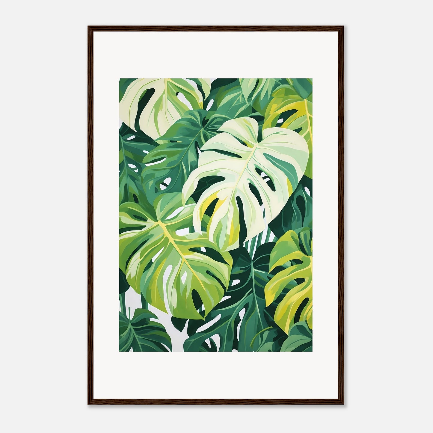 Monstera dream