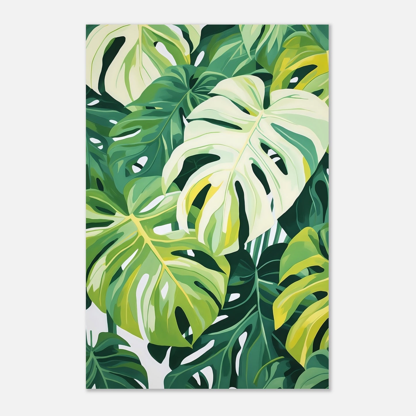 Monstera dream