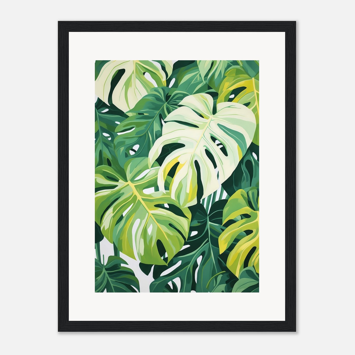 Monstera dream