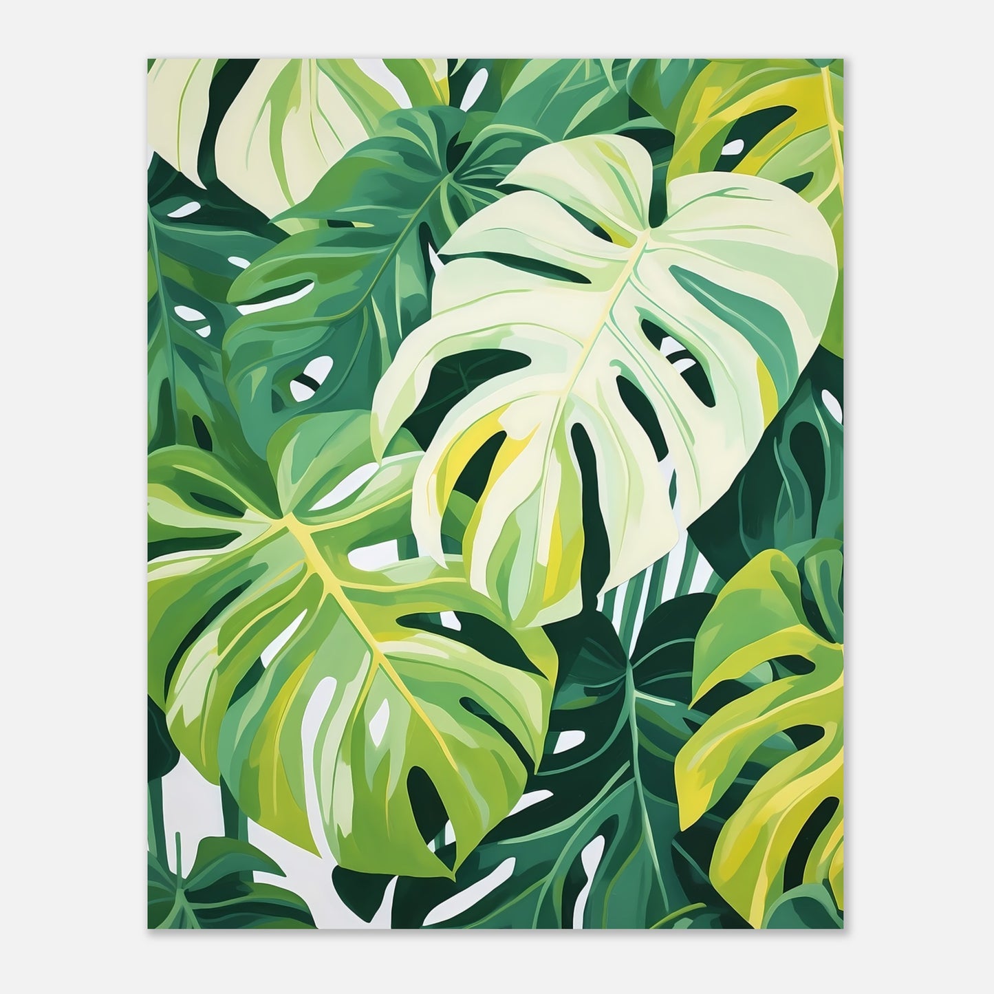 Monstera dream