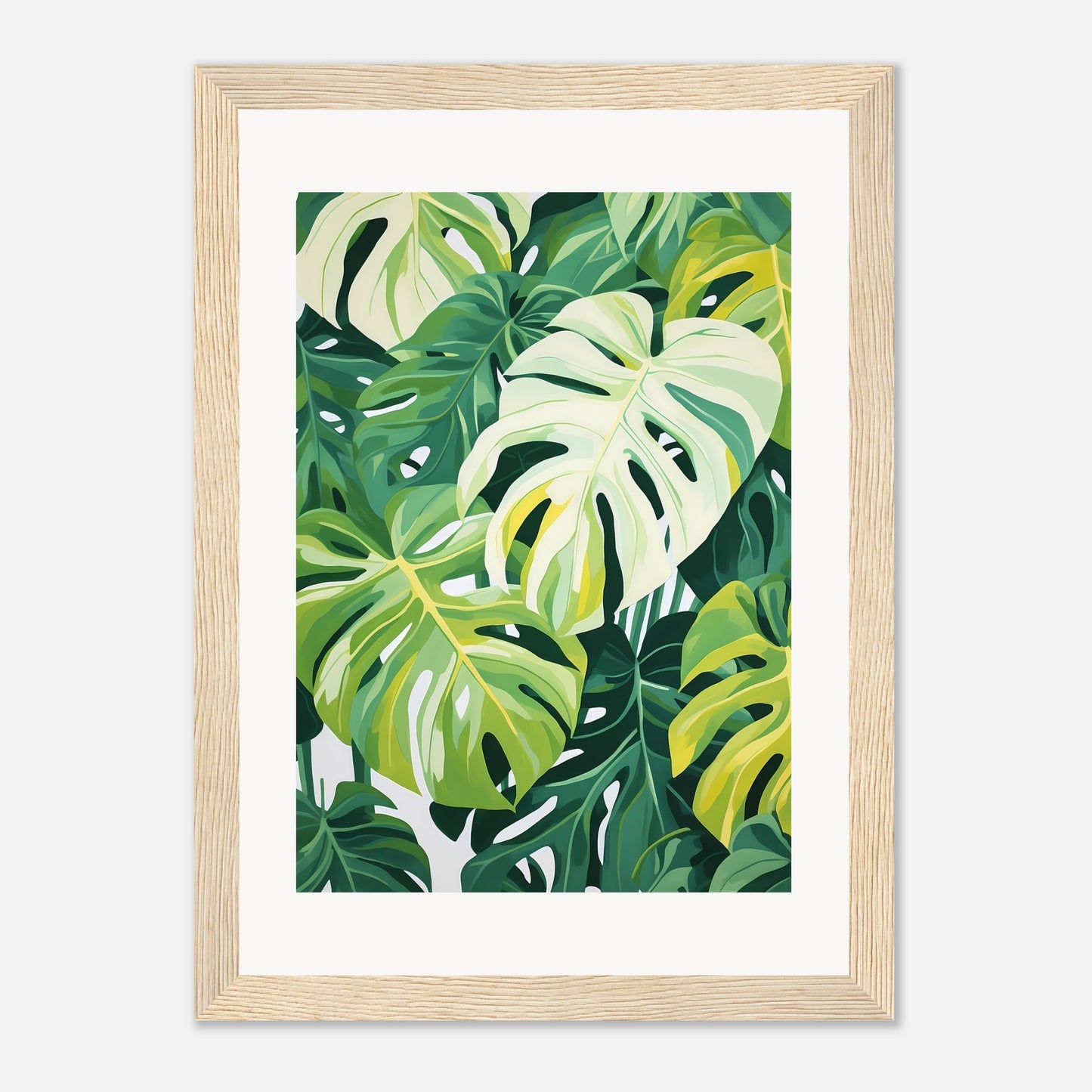 Monstera dream