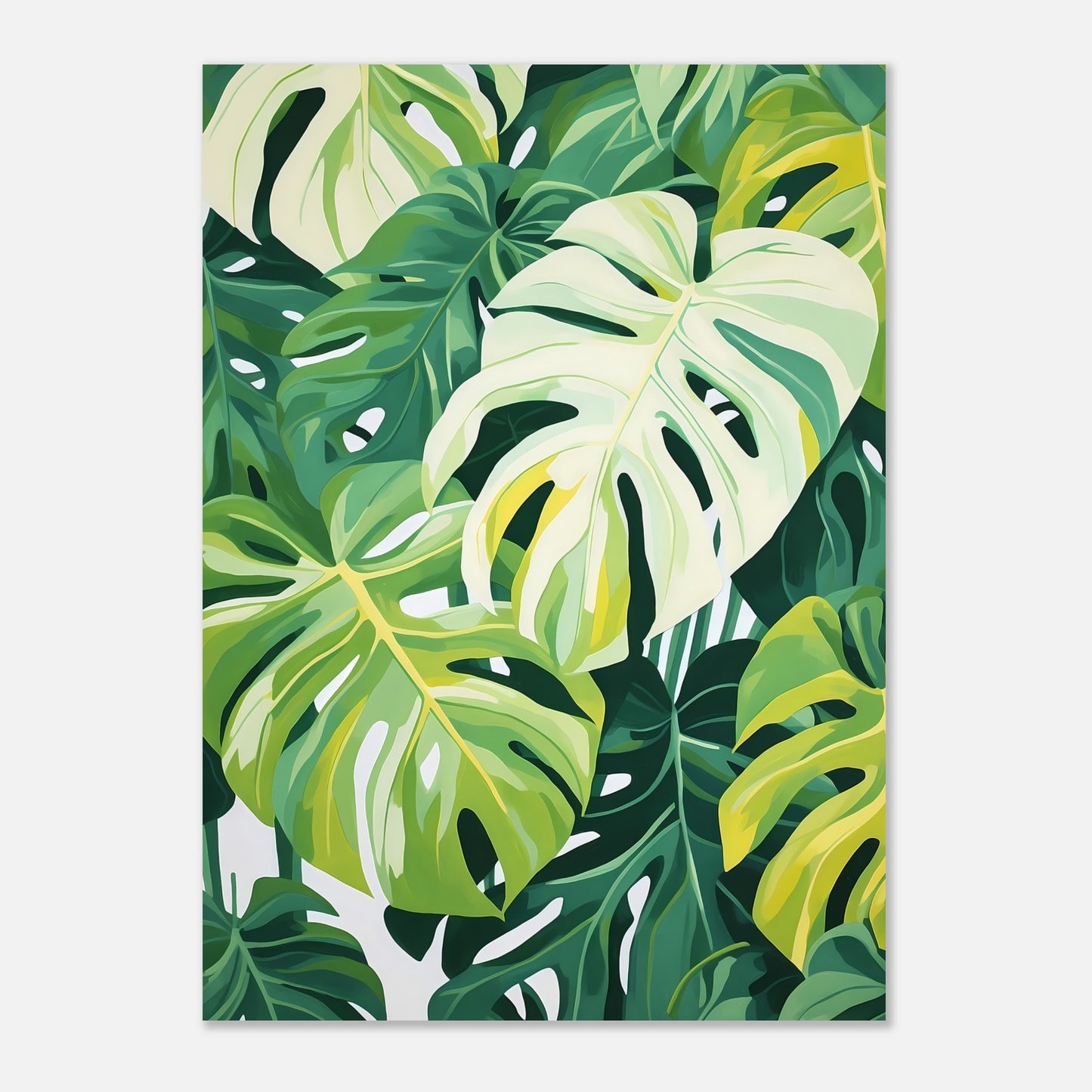 Monstera dream